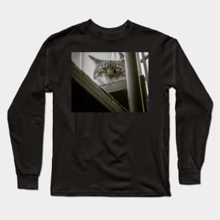 Martina the cat with terribles eyes Long Sleeve T-Shirt